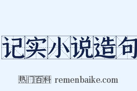 记实小说造句是什么意思的图片